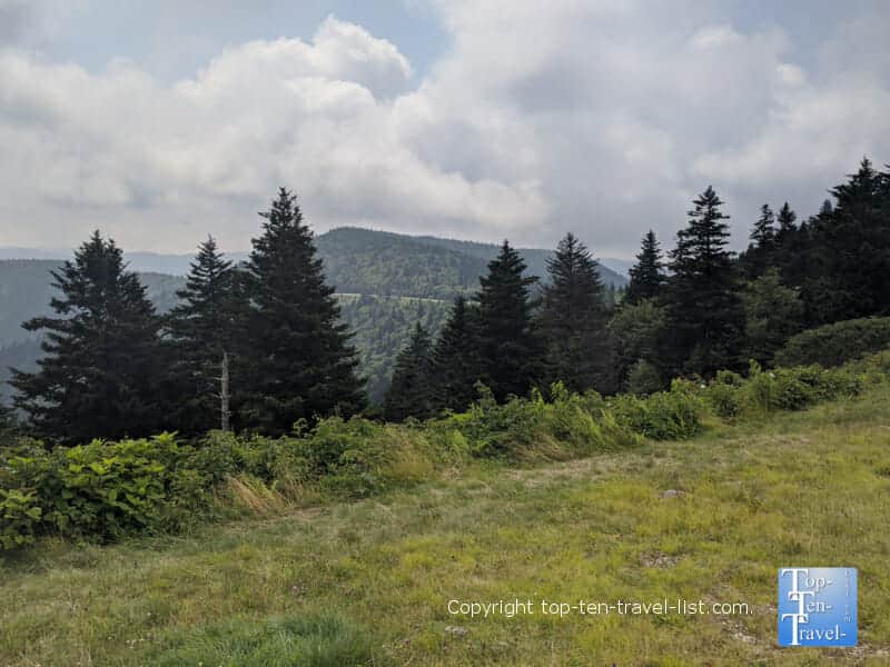 Scenic mountain view on the Richard Balsam trail on the Blue Ridge Parkway