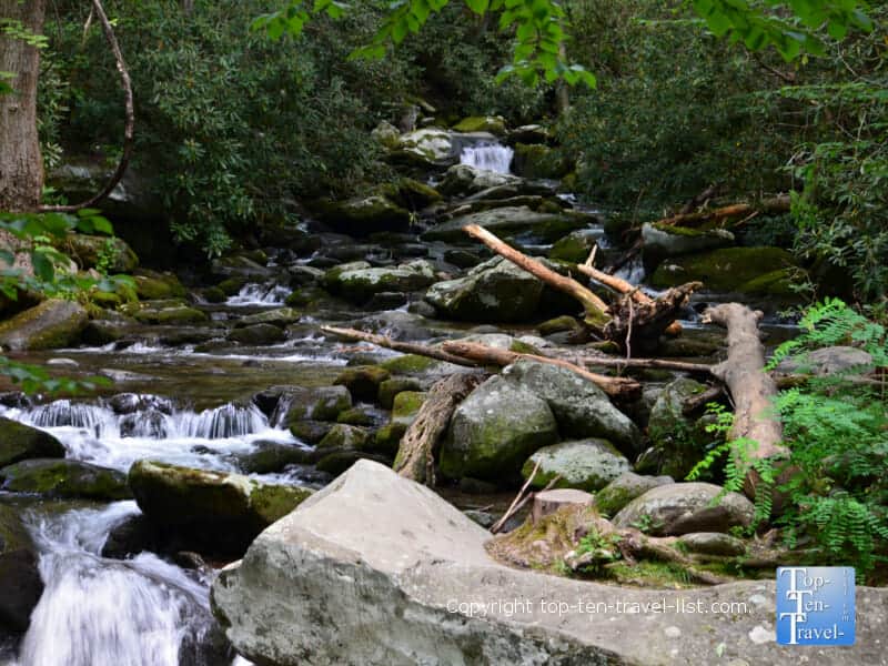 Relaxing creek view along the Roaring Fork Motor Nature Trail in Gatlinburg, Tennessee