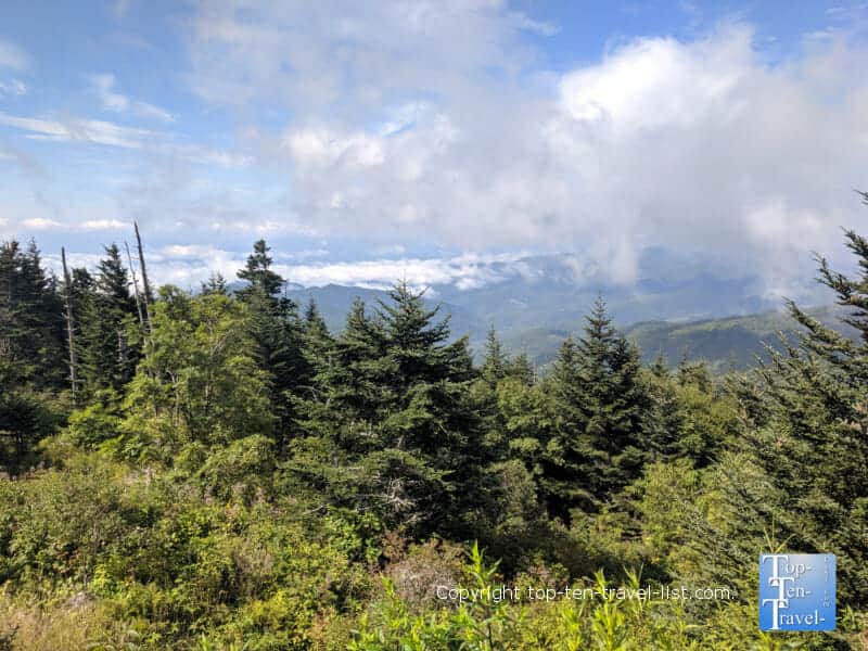 Pretty mountain scenery at Clingman's Dome in the Great Smoky Mountains