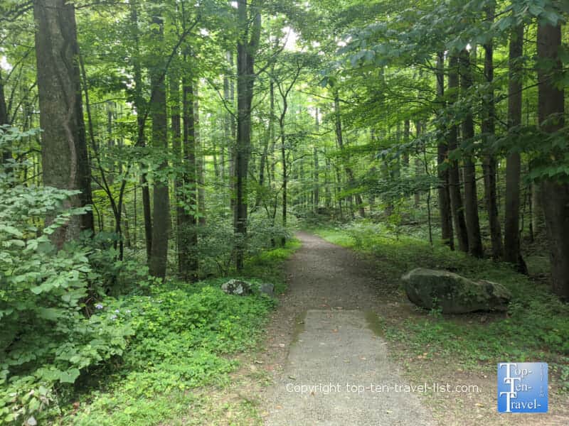 Quiet walkway in the Great Smoky Mountains National Park in Tennessee