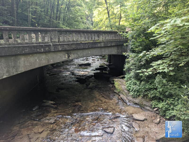 Relaxing creek views along the Moore Cove Falls trail in Transylvania County, North Carolina