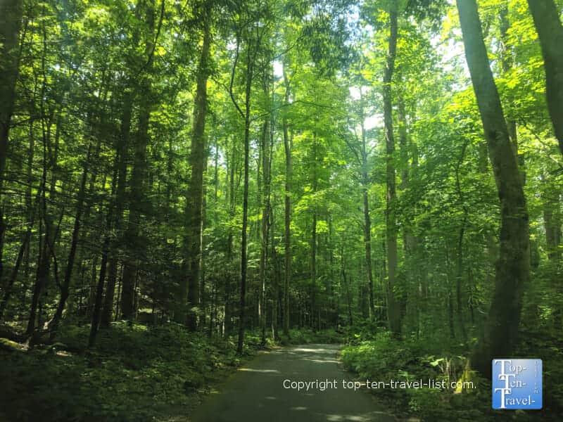 Roaring Motor Nature trail in Gatlinburg, TN