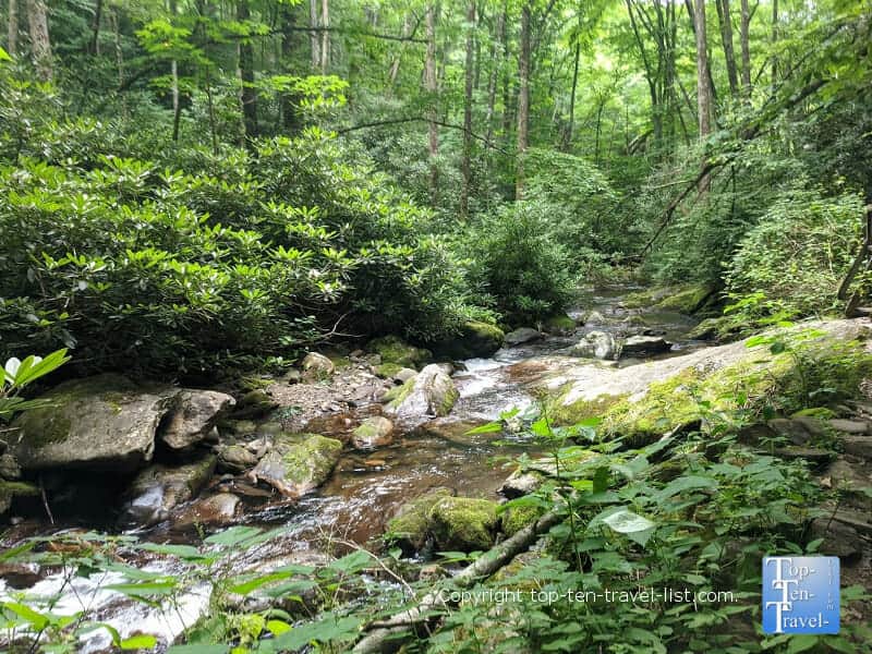 Serene stream along the Courthouse Falls trail in Transylvania County, North Carolina