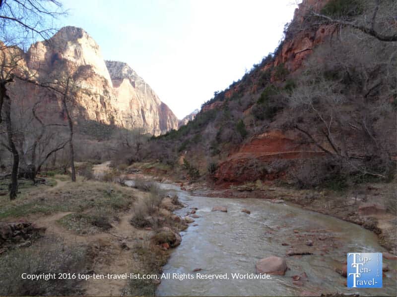Tranquil views of the Virgin River along the Zion Canyon Scenic Drive