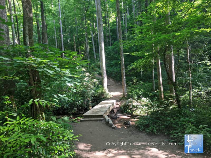Wooden walkway along the Moore Cove Falls trail in Transylvania County, North Carolina