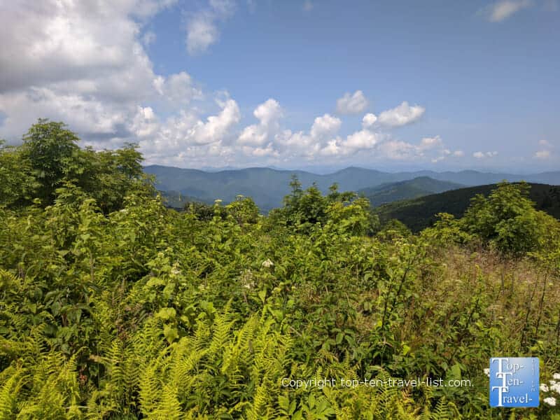 Gorgeous mountain scenery along the Black Balsam Knob trail in Western North Carolina 