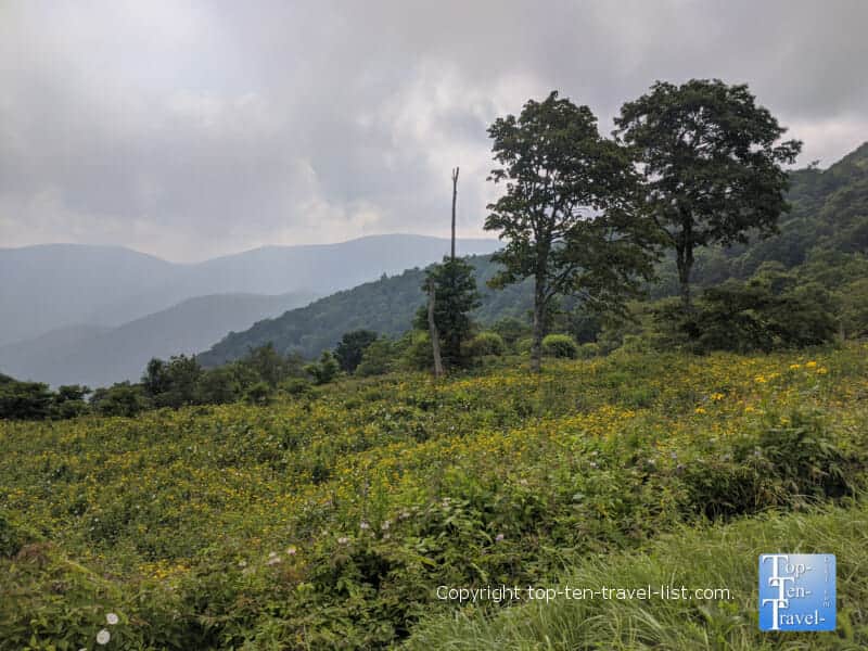 Beautiful view at the Doubletop Mountain overlook along the Blue Ridge Parkway