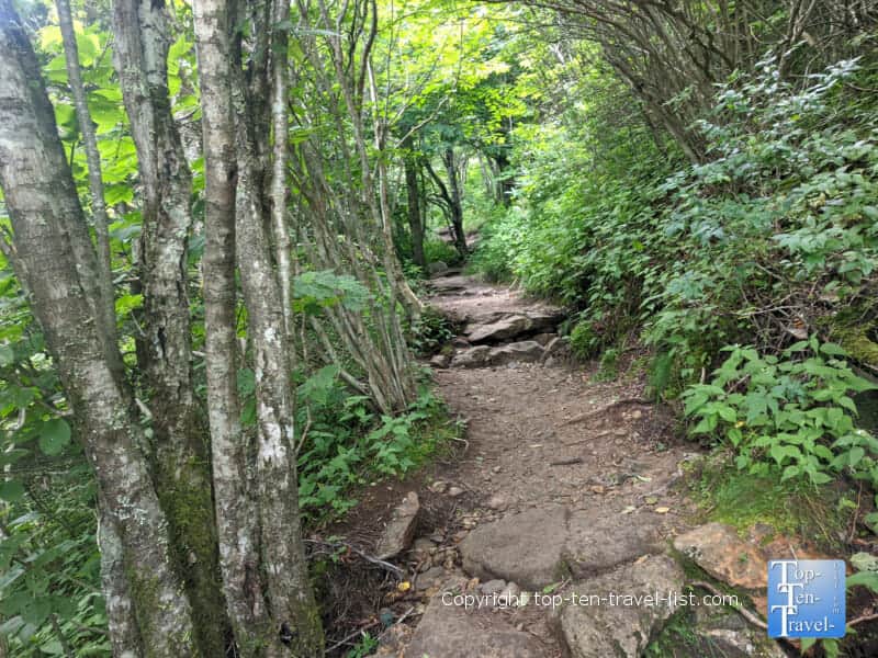 Beautiful views along the Black Balsam Knob trail in Western North Carolina 