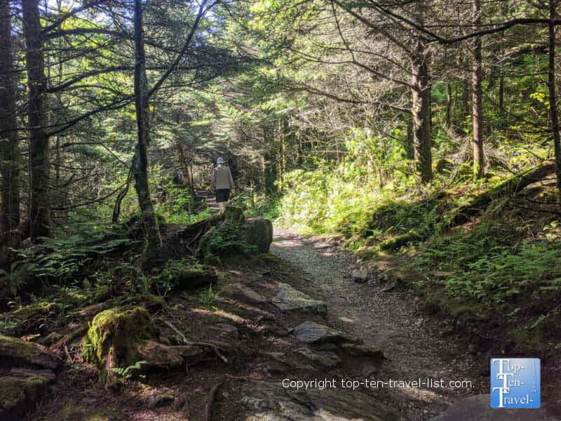 Hiking the Balsam Nature trail at Mt. Mitchell State Park in Western North Carolina 