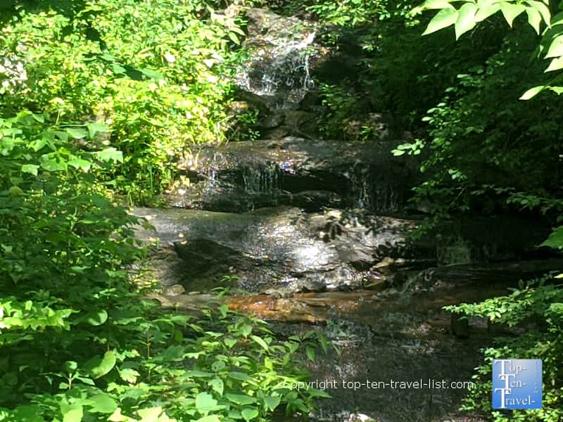 Logging Road Falls in Western North Carolina 