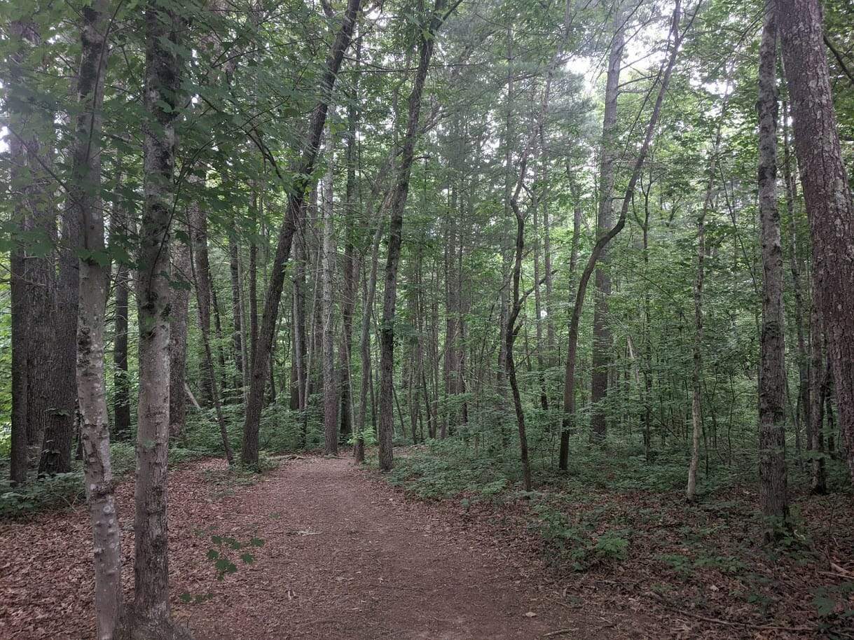 Mountains-to-Sea trail along the Blue Ridge Parkway in Asheville, North Carolina