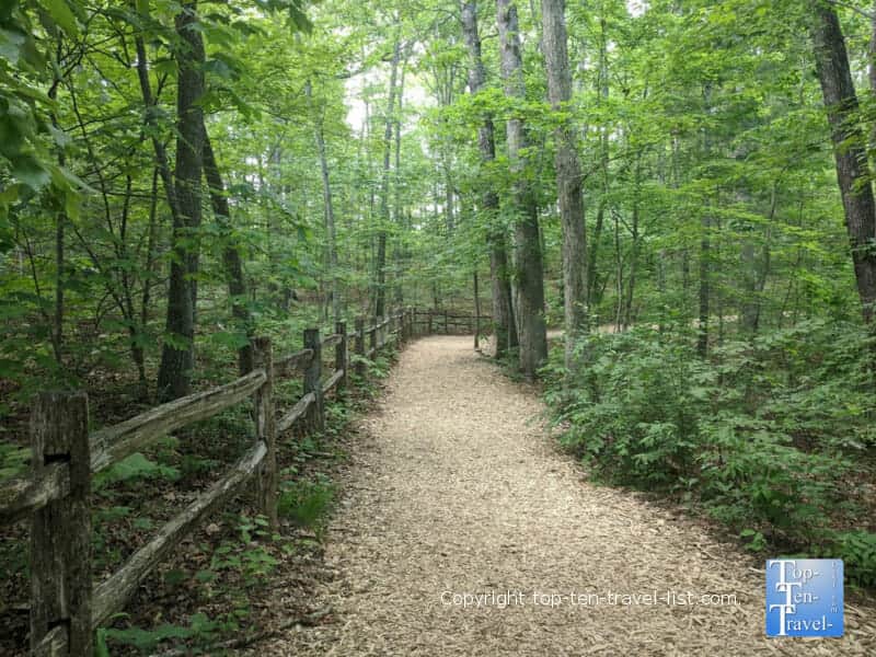 Nature trail at the North Carolina Arboretum in Asheville, NC 
