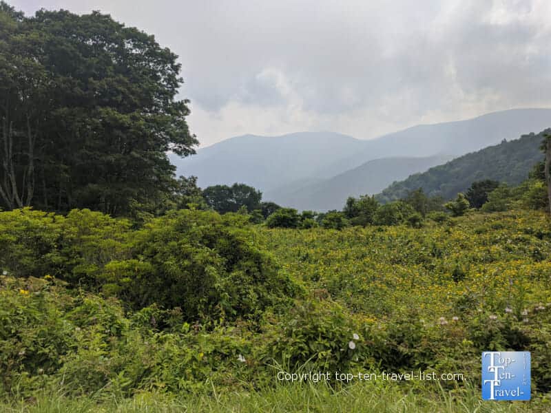 Pretty mountain scenery at the View Steestachee Bald overlook along the Blue Ridge Parkway