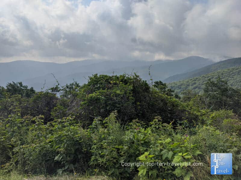 Pretty mountain scenery along the View Steestachee Bald overlook along the Blue Ridge Parkway