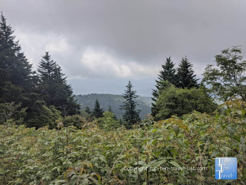 Pretty mountain view on the Richard Balsam hike on the Blue Ridge Parkway in North Carolina 