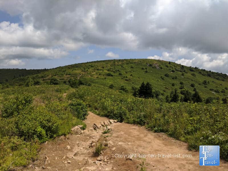 Hiking the Black Balsab Knob trail in Western North Carolina 