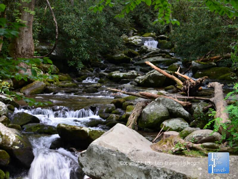 Tranquil stream along the Roaring Fork Motor Nature trail drive in the Smoky Mountains