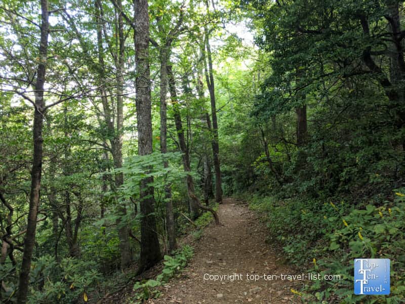 Tree lined hike to Crabtree Falls in Western North Carolina