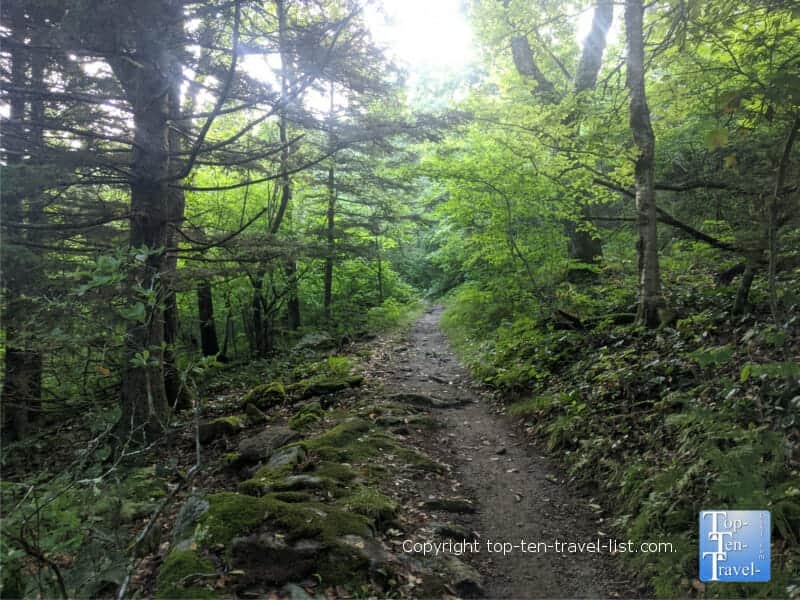 Hiking the Bucks Springs Gap trail along the Blue Ridge Parkway in North Carolina 
