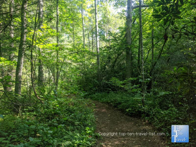 Hiking the shady Carolina Mountain trail at the North Carolina Arboretum in Asheville, North Carolina