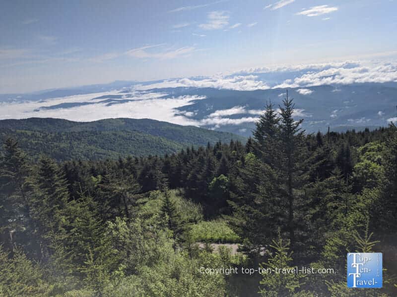 Gorgeous views from Mt. Mitchell in North Carolina - the highest point east of the Mississippi 
