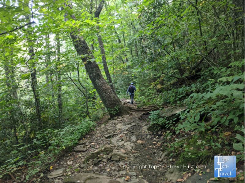 Hiking in North Carolina 