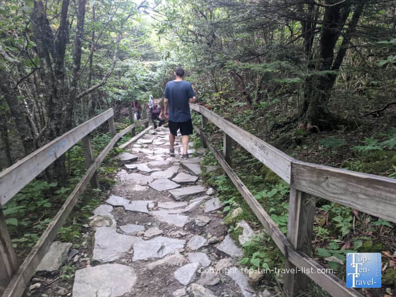 Rocky path up to the Devil's Courthouse summit on the Blue Ridge Parkway in North Carolina 