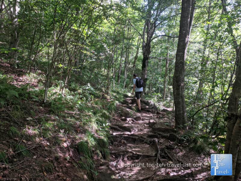 Hiking the Graveyard Fields Loop along the Blue Ridge Parkway in North Carolina