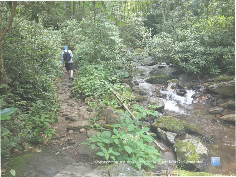 Hiking Roaring Creek Falls in North Carolina