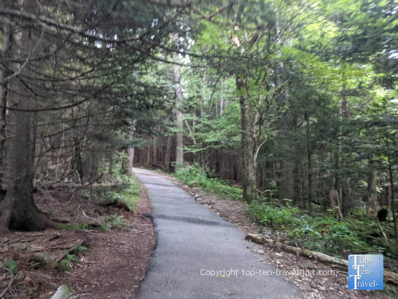 Hiking trail to Devil's Courthouse on the Blue Ridge Parkway in North Carolina 