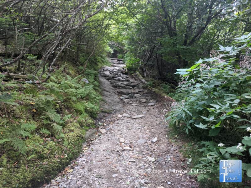 Rocky path up to Devil's Courthouse summit on the Blue Ridge Parkway in North Carolina 