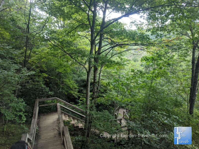 Staircase climb to Lower Graveyard Field Falls along the Blue Ridge Parkway in North Carolina 