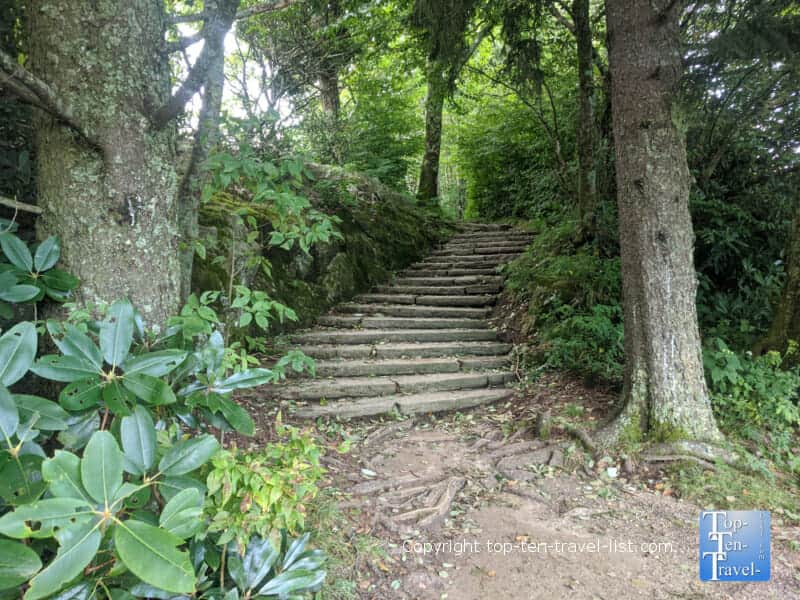 The beautiful Bucks Springs trail along the Blue Ridge Parkway in North Carolina 