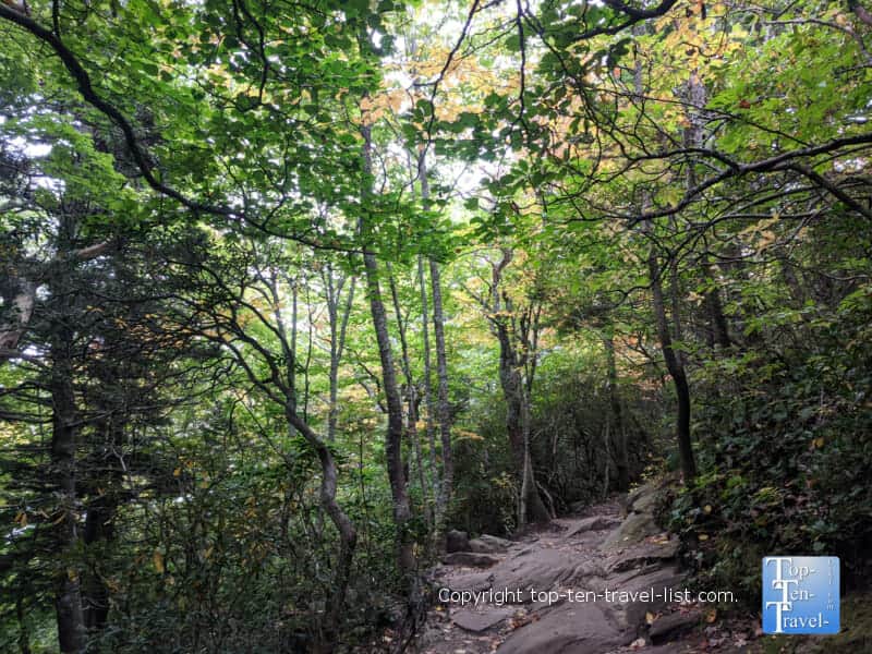 Hint of fall color on the Rough Ridge trail along the Blue Ridge Parkway in Western North Carolina
