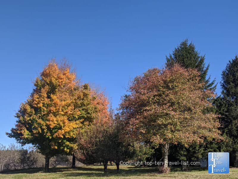 Fall color at Sky Top Orchard in Flat Rock, North Carolina 