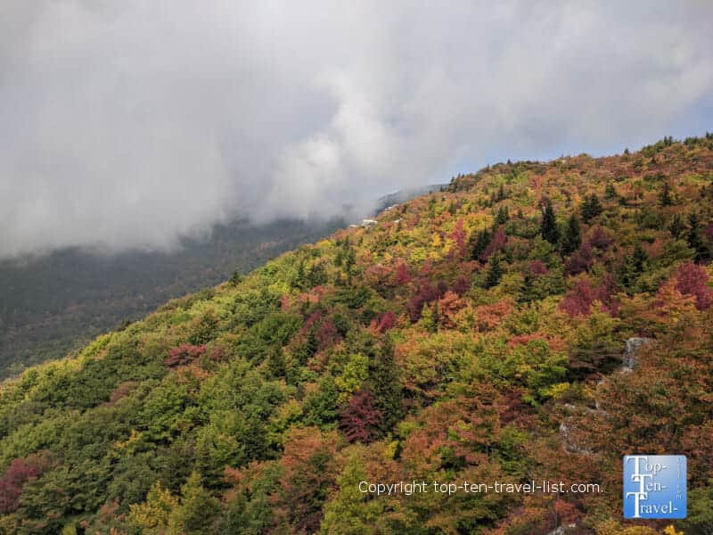 Fall foliage along the Rough Ridge trail on the Blue Ridge Parkway in North Carolina