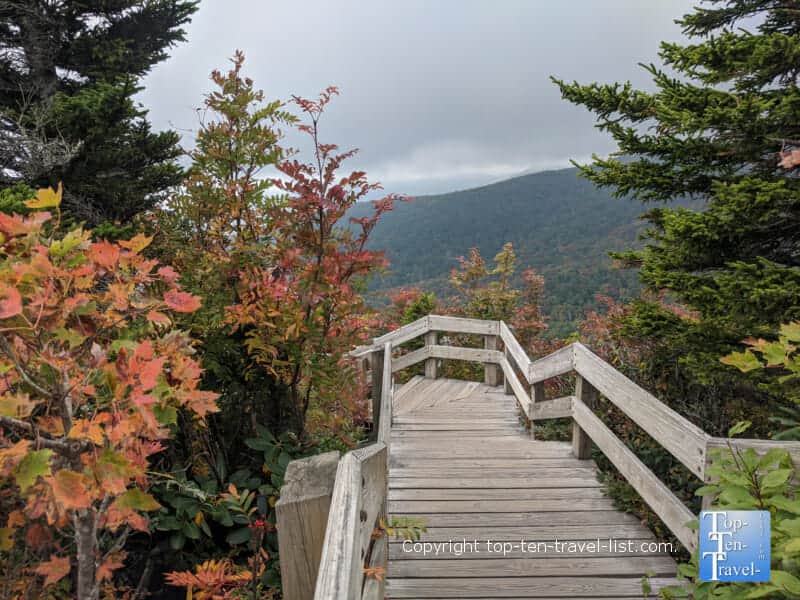 Fall color along the Rough Ridge trail along the Blue Ridge Parkway in Western North Carolina