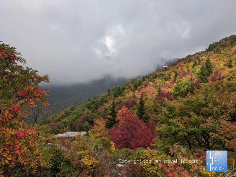 The peak of fall along the Rough Ridge trail on the Blue Ridge Parkway in Western North Carolina