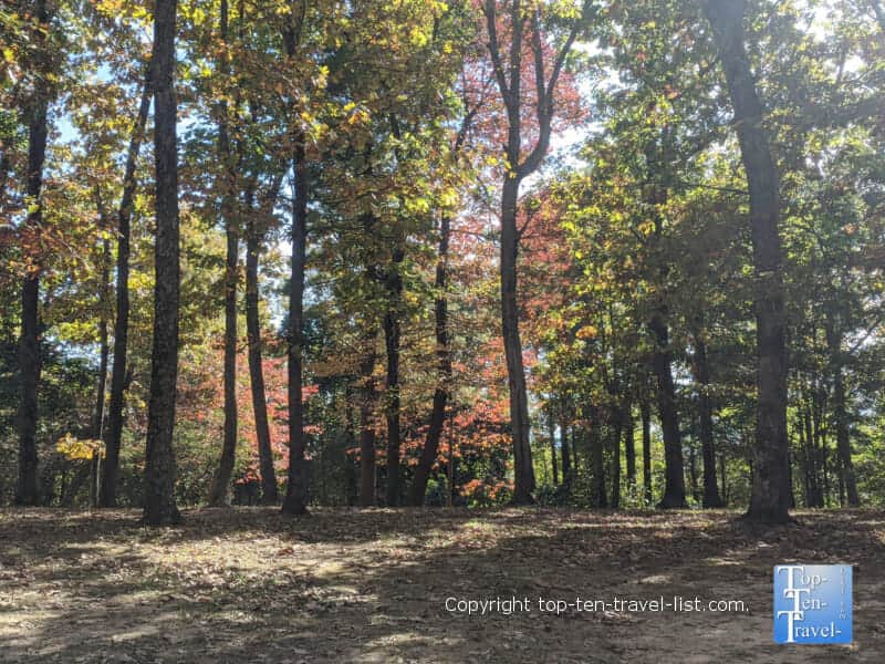 Fall color at Sky Top Orchard in Flat Rock, North Carolina 