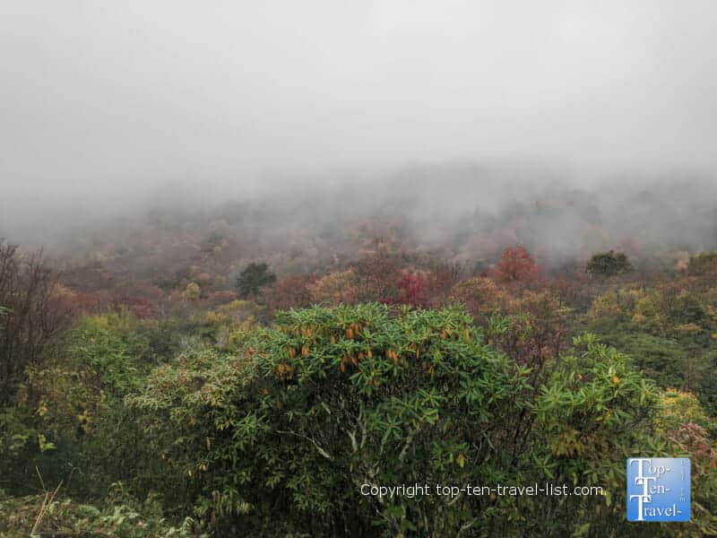 Fall foliage at the Graveyard Fields overlook along the Blue Ridge Parkway