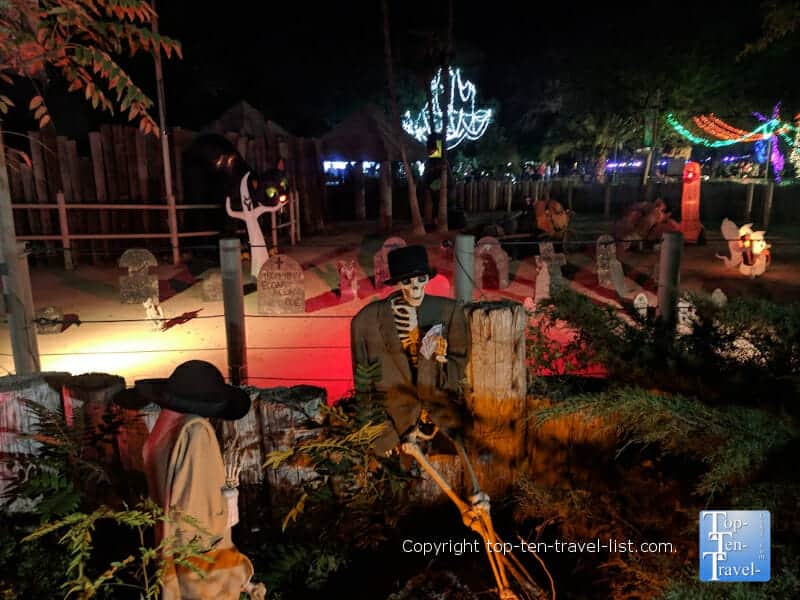 Howl O'Ween at The Reid Park Zoo in Tucson, Arizona