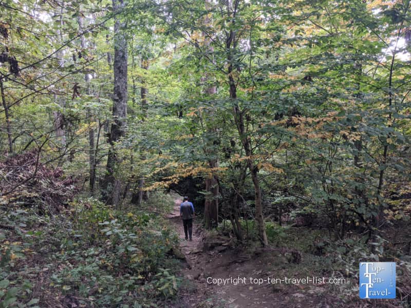Hiking the Rough Ridge trail on the Blue Ridge Parkway in Western North Carolina
