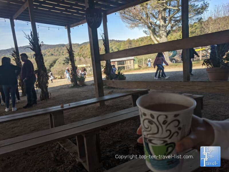 Homemade cider at Sky Top Orchard in North Carolina