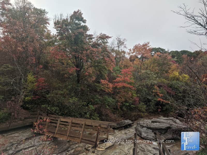 Colorful fall foliage along the Graveyard Fields trail along the Blue Ridge Parkway