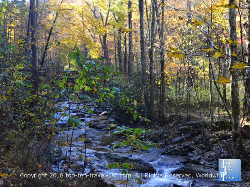 Pretty creek views along the Catawba Falls trail in Western North Carolina