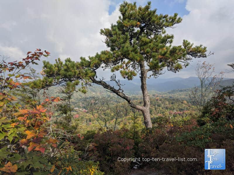 Beautiful vista on the Flat Rock hiking overlook along the Blue Ridge Parkway in North Carolina