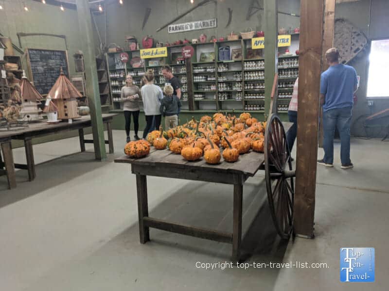 Pumpkins at Sky Top Orchard in Flat Rock, North Carolina 