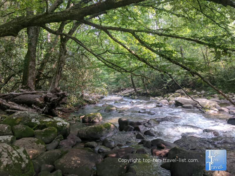 Quiet walkway in the Great Smoky Mountains in Gatlinburg, Tennessee