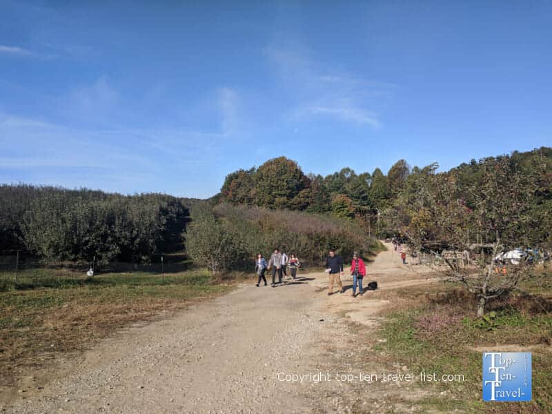 Strolling around Sky Top Orchard in Flat Rock, North Carolina 