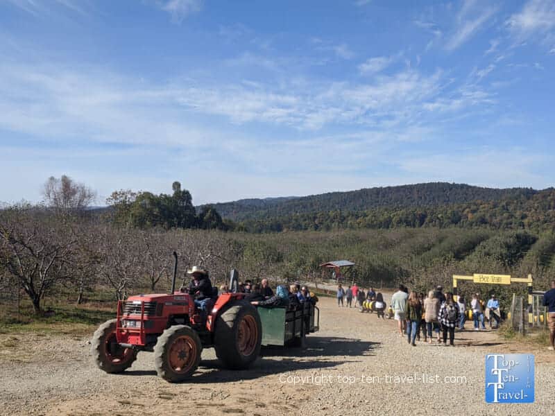 Tractor ride at Sky Top Orchard in Flat Rock, North Carolina 